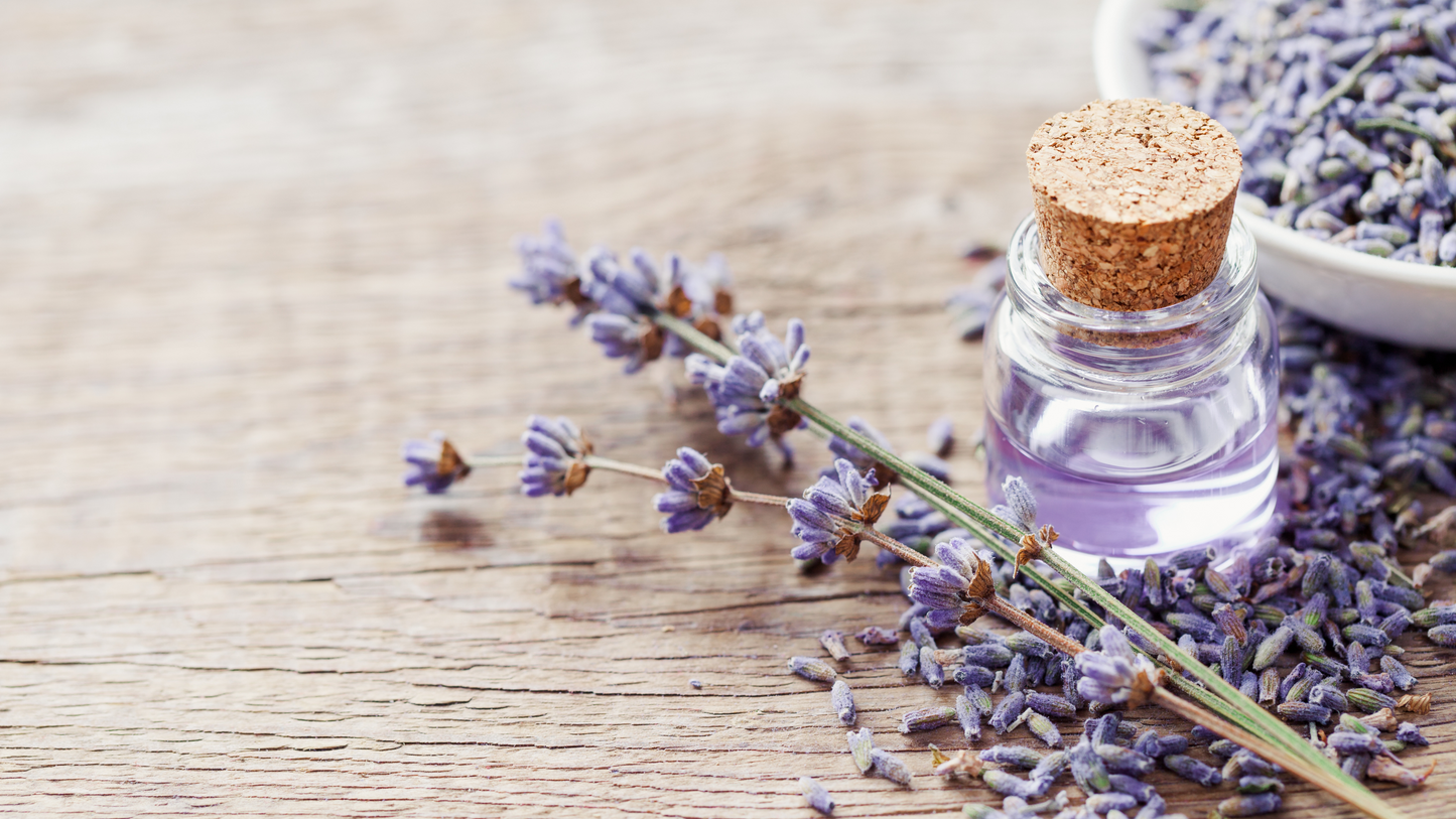 Ashley's Body Butter LAVENDER 4 OZ